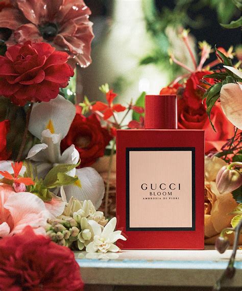 gucci bloom ambrosia de fiori|gucci bloom ambrosia perfume review.